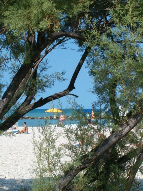 Residence Casabianca Порто Сан Джорджио Екстериор снимка